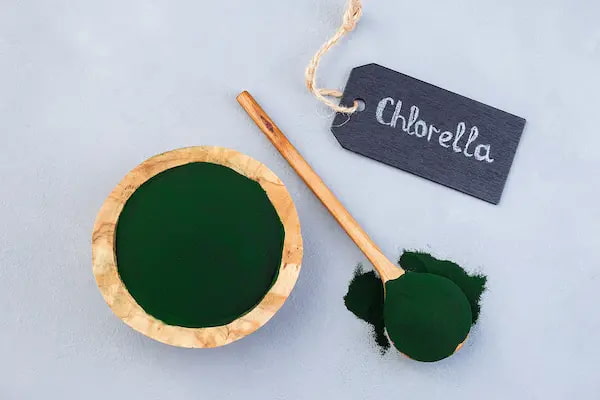 chlorella-superfood-in-powder